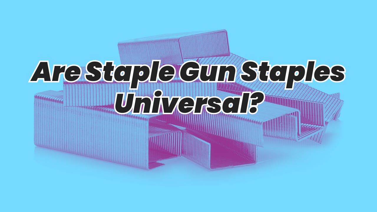 Are Staple Gun Staples Universal?